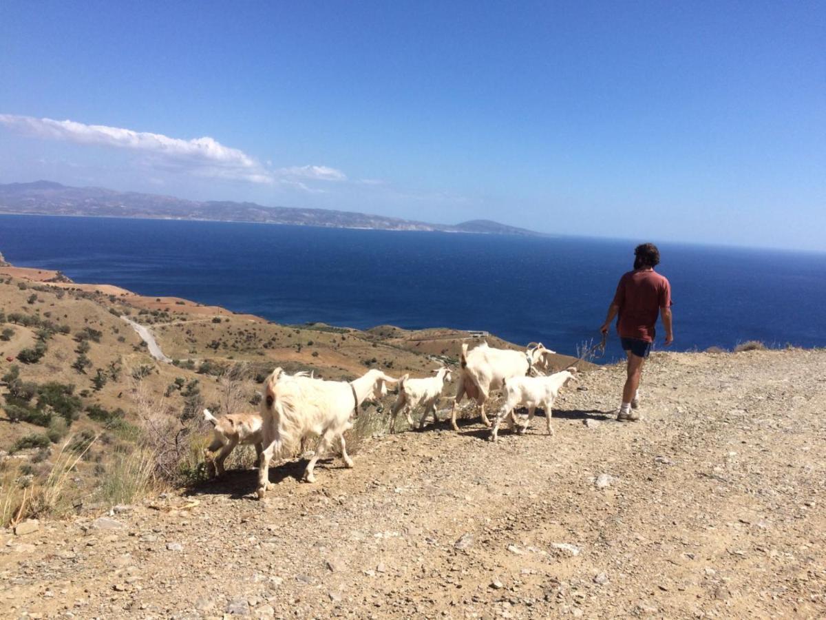 Sea Breeze Ecological Villa Agia Galini Екстериор снимка